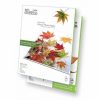 Klip Xtreme KPG-120 - Brillante - ANSI A (Letter) (216 x 279 mm)