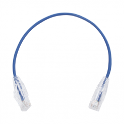 Latiguillo delgado UTP Cat6 1 pie Azul 28 AWG