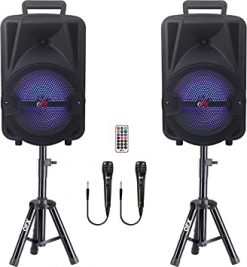 altavoz portátil recargable de 1 pulgada, con control remoto, adaptador de CA, 2 soportes y 2 micrófonos PBX-800TWS