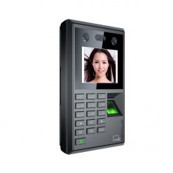 Lector S10